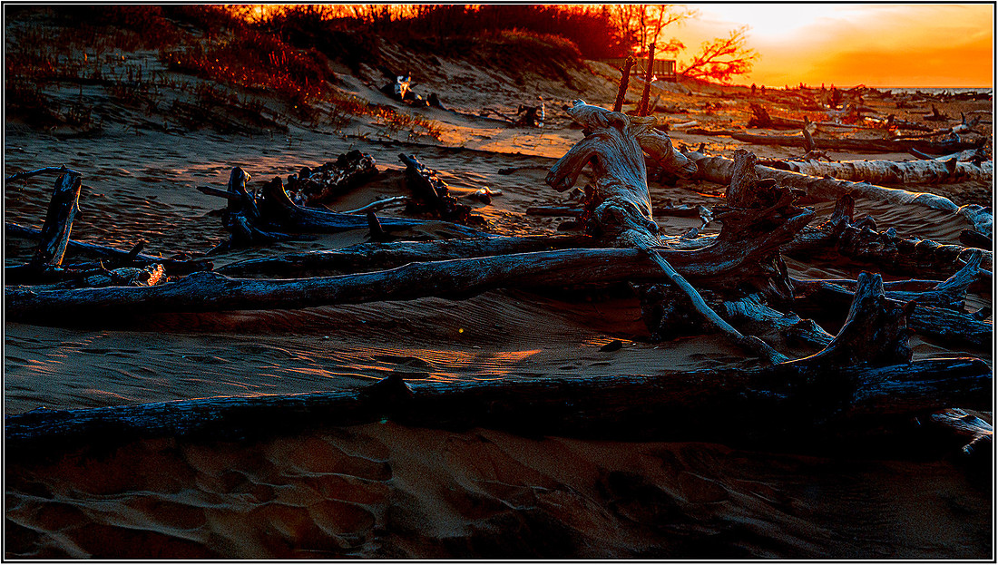 White sunset-0196 MK