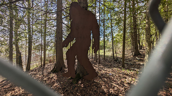 Bigfoot at Castle Rock