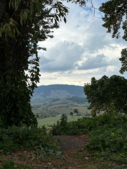 IMG_2608