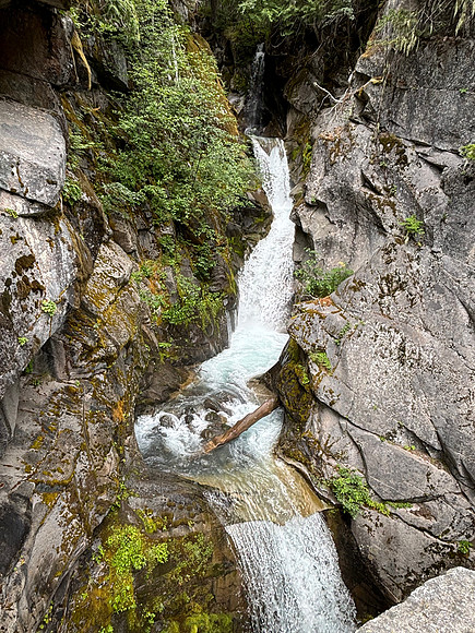 IMG_1920