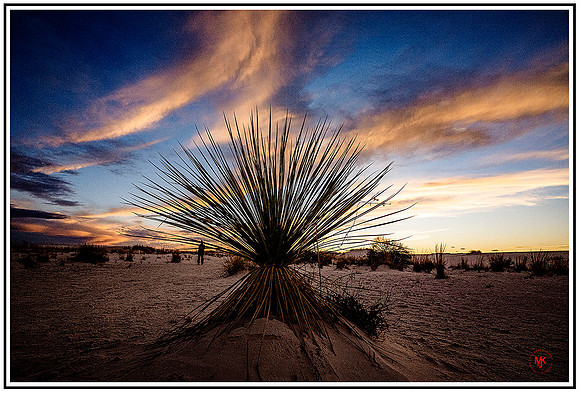 White Sands (279) MK