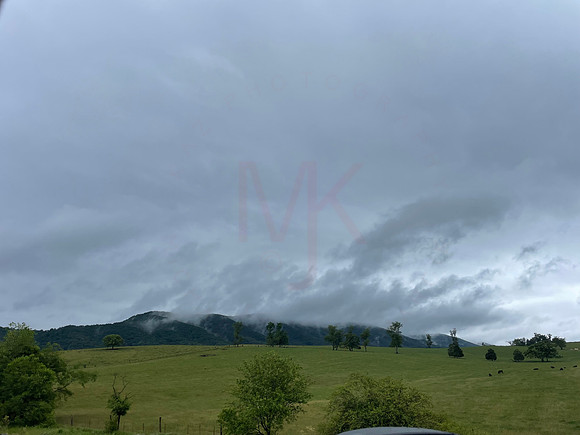 IMG-3334
