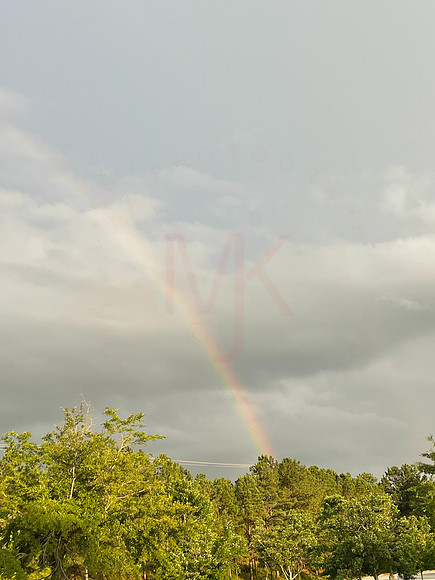 IMG-3356