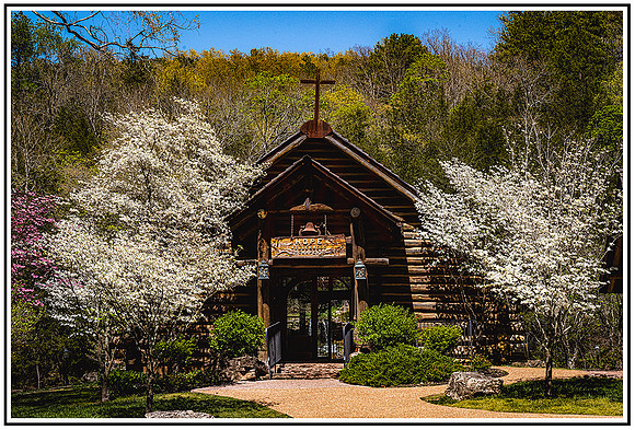 Dogwood (1058) MK