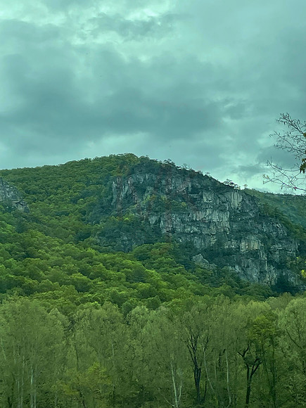 IMG-3200