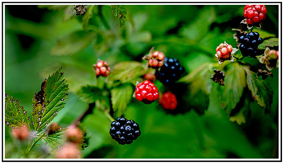 Hike with Leanne (220) MK
