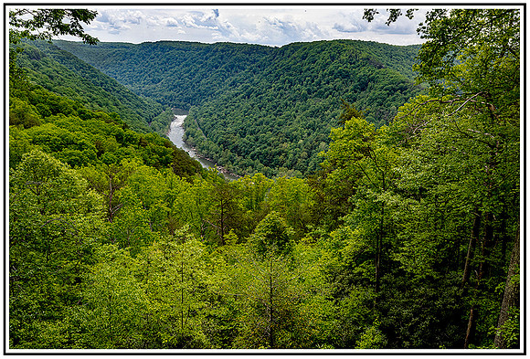 New River Gorge (155) MK