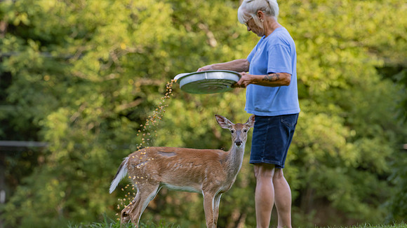 Donna Deerfood-1
