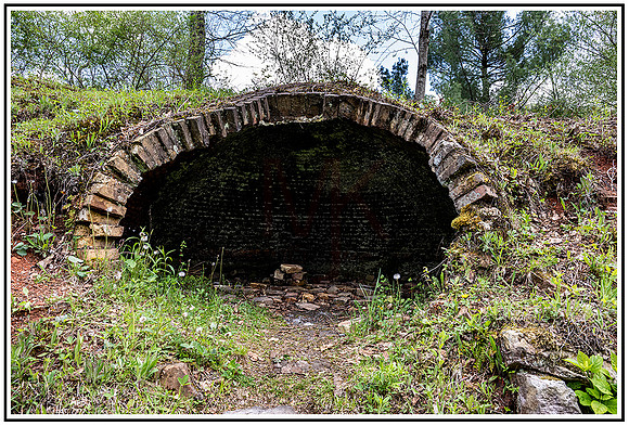 Pegasus Farm (54) MK