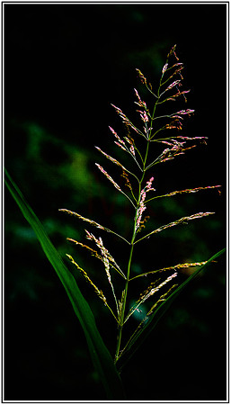 Hike with Leanne (289) MK