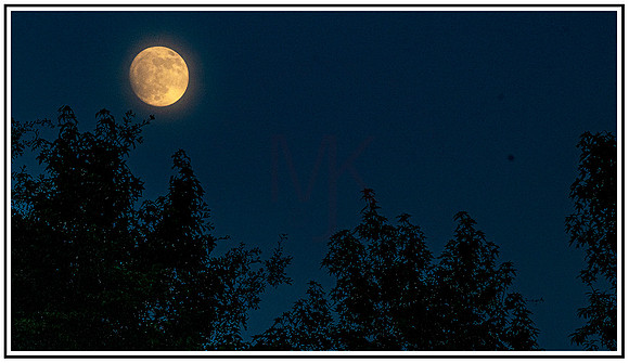 Magnolia Fireworks (29) MK