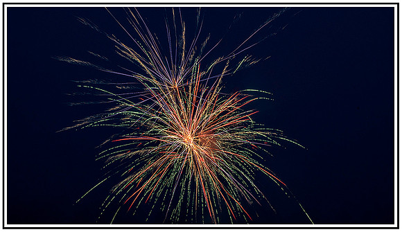 Magnolia Fireworks (634) MK