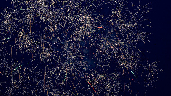 Magnolia Fireworks (645)