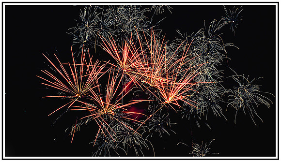Magnolia Fireworks (644) MK