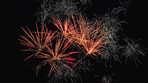 Magnolia Fireworks (644)