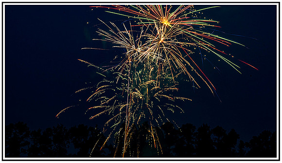 Magnolia Fireworks (609) MK