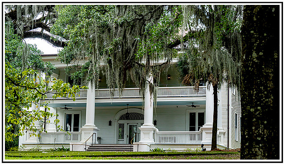 Charlston SC (429) MK