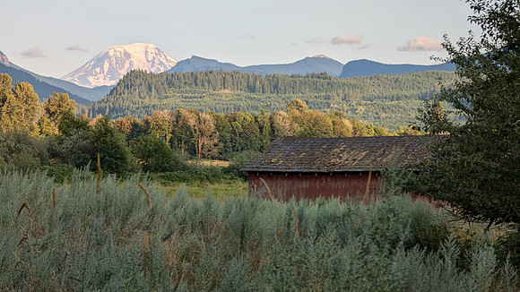 PXL_20240726_022917332