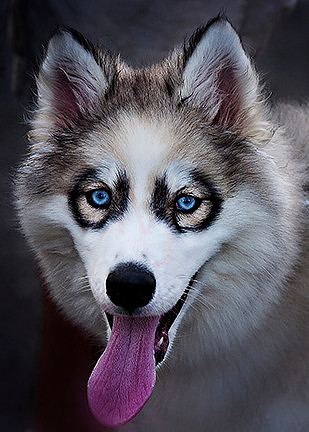 Blue Eyes