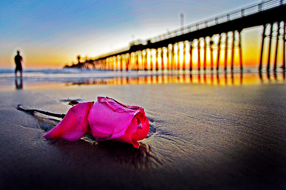 Sand_Rose