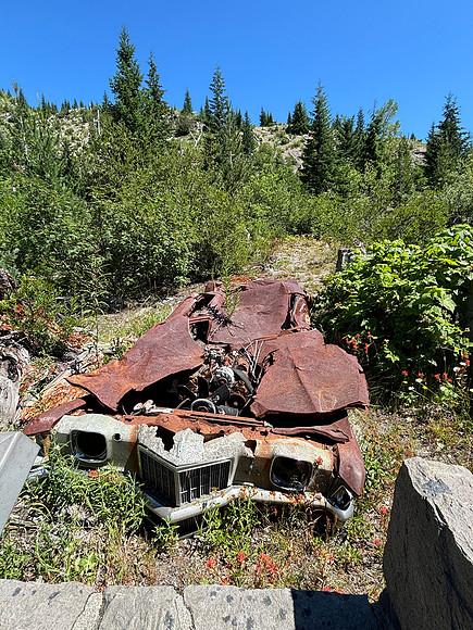 IMG_1871
