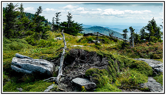 Grandfather Mountian (108) MK