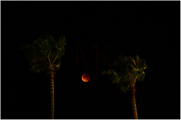 Blood Moon-001A