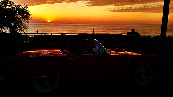 ThunderBird