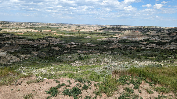 PXL_20240607_202354275