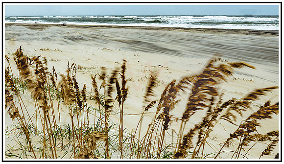 Windy Beach (108) MK