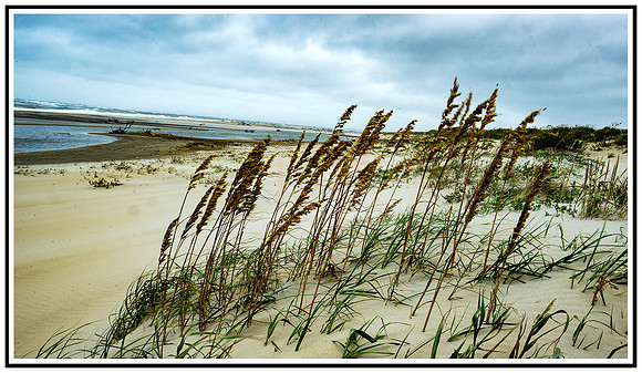 Windy Beach (97) MK