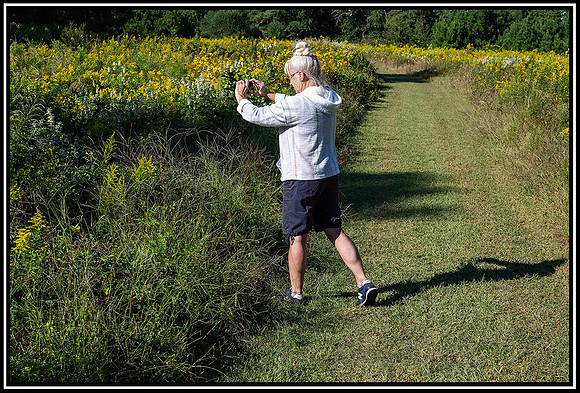 Kiptopeke walk (240) MK