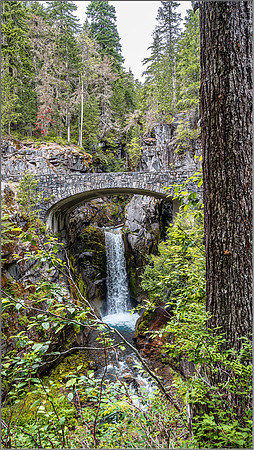 Rainier-0392 MK