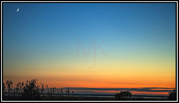 Charles W. Cullen Bridge (90) MK