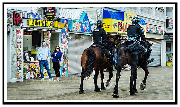 OceanCity (334) MK