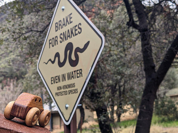 Brake for snakes