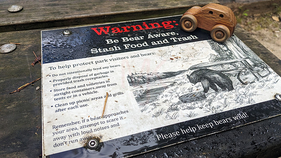 Bear Warning