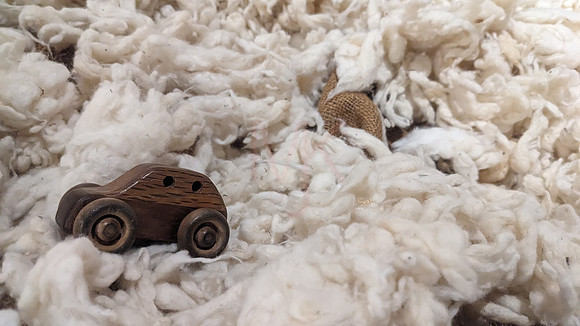 South Carolinia Cotton