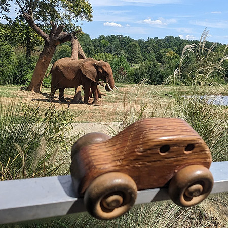 Zoo