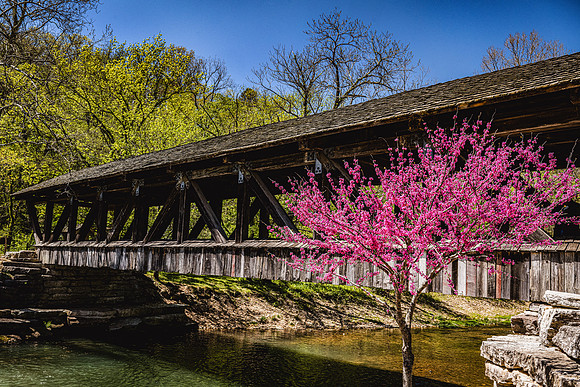 Dogwood Canyon Missouri