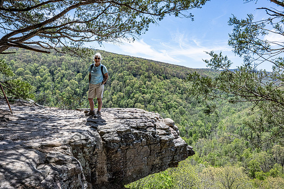 Hawksbill Mountain Arkansas