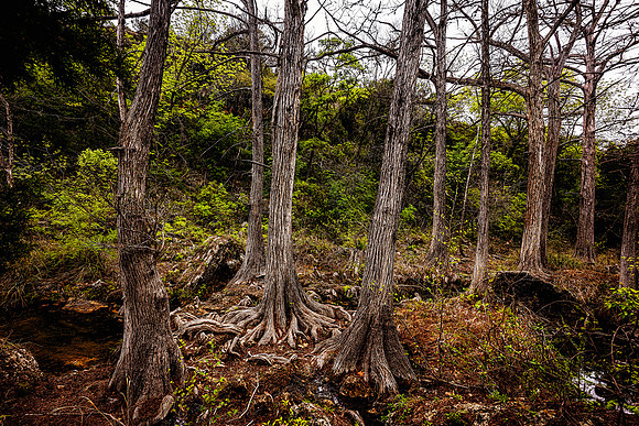 Hamilton, Texas