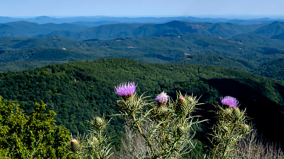Grandfather Mountain North Carolina