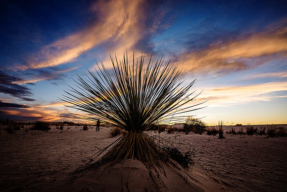 White Sands New Mexico