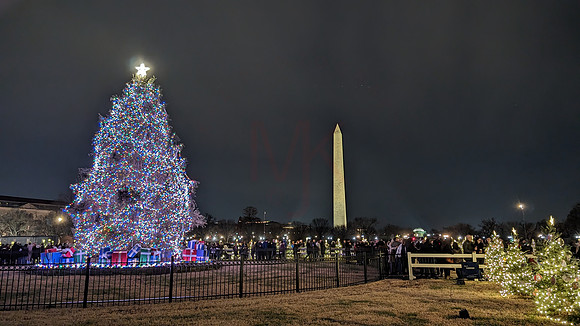 DC Christmas02