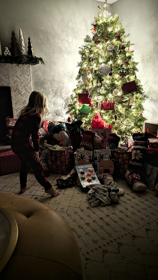 PXL_20231225_115725848~2
