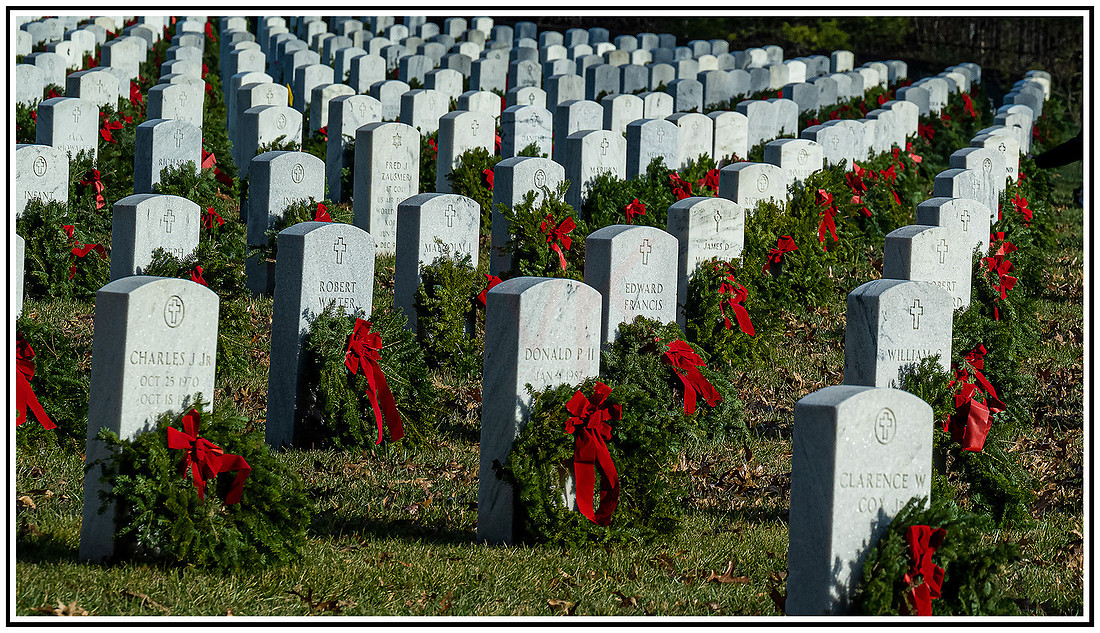 Cemetery wreaths (361) MK