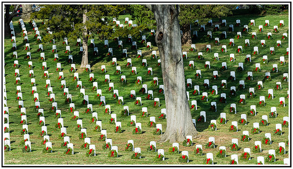 Cemetery wreaths (454) MK