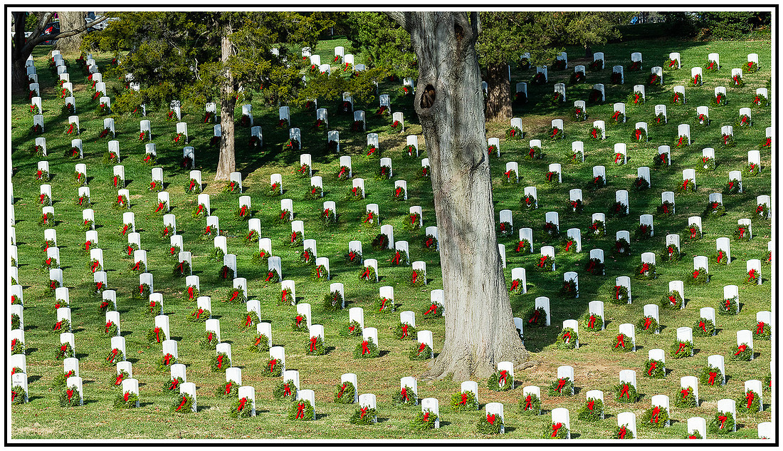 Cemetery wreaths (454) MK
