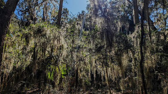 PXL_20240129_170610931-EDIT
